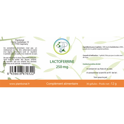 Lactoferrin 250 mg bei 96 %