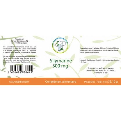 Silymarin 32 % Silybine