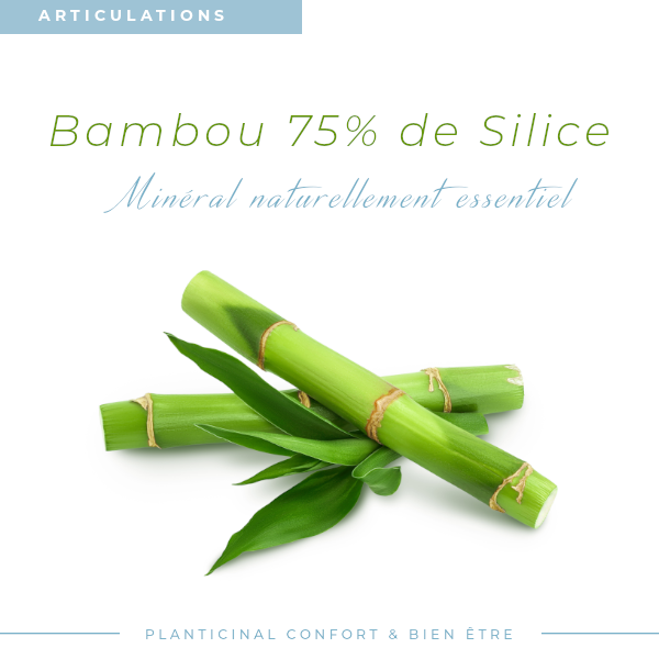 Bamboo 75% Silica