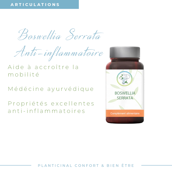 Boswellia Serrata 70 % Boswelliasäure