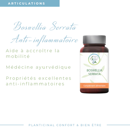 Boswellia Serrata 70% Boswellic Acid