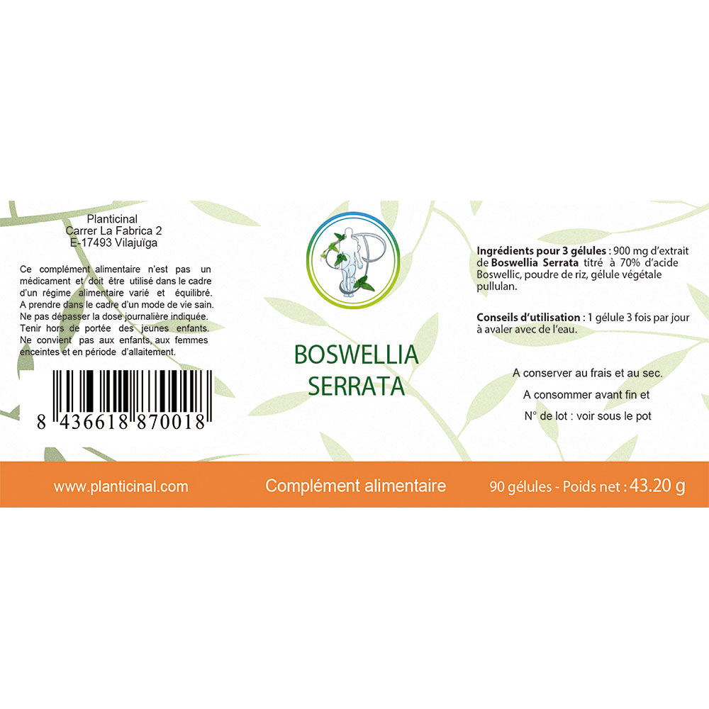 Boswellia Serrata 70% Boswellic Acid