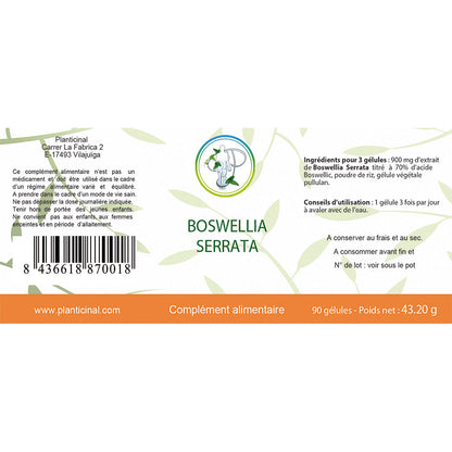 Boswellia Serrata 70 % Boswelliasäure