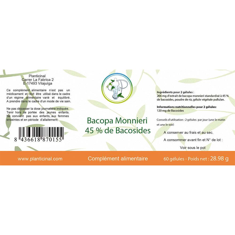 Bacopa Monnieri 50% Bacosides