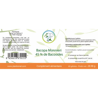 Bacopa Monnieri 50% Bacosides