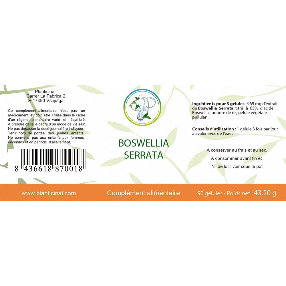 Boswellia Serrata 65% Acide Boswellic Pack Promo x 3