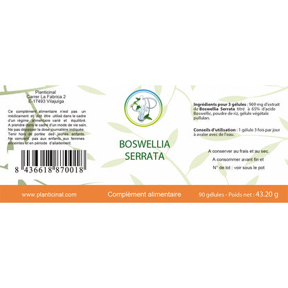 Boswellia Serrata 65% Acide Boswellic Pack Promo x 3